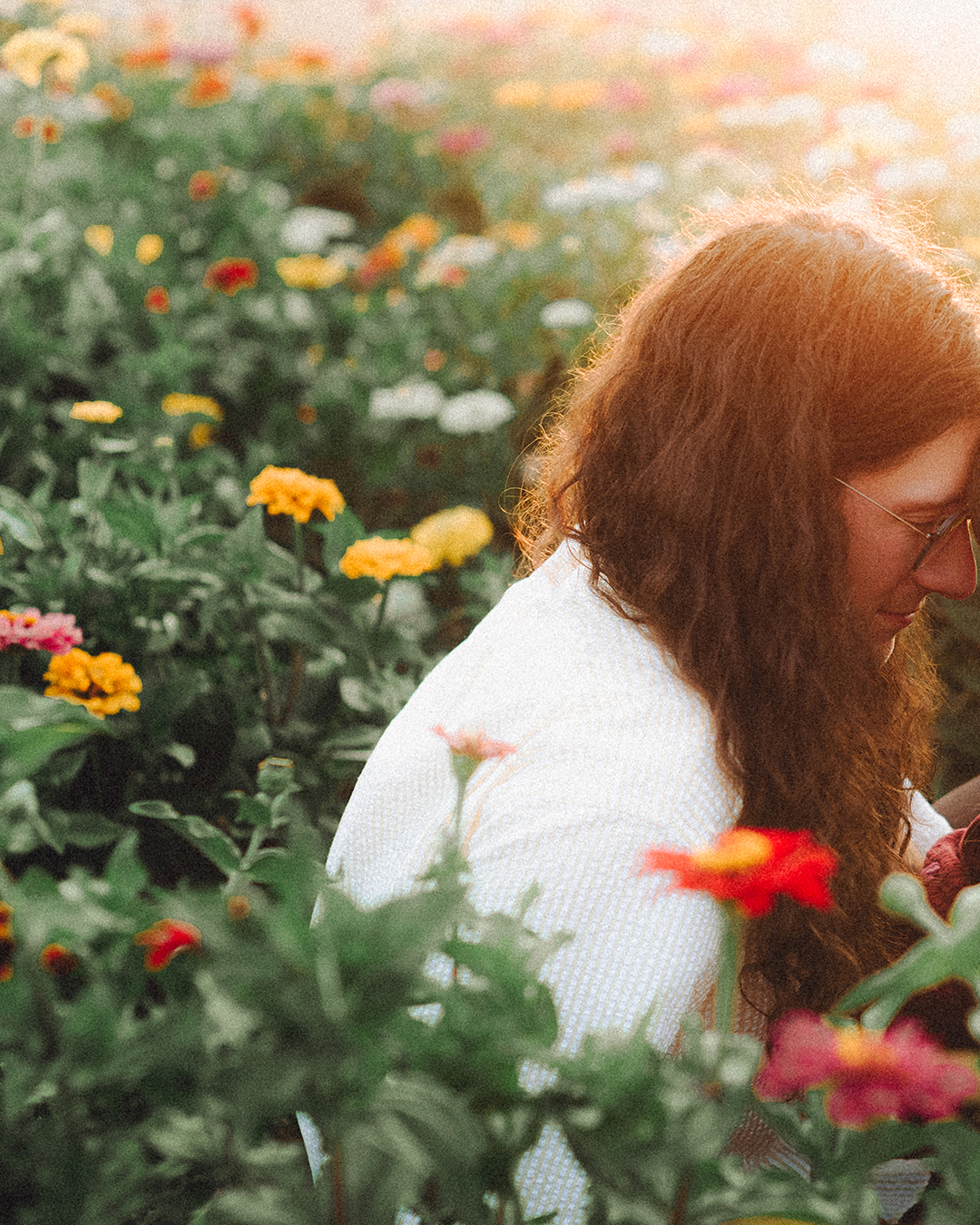 Lovestory Pregnancy Announcement Among the Sunflowers of the Wooden Shoe Tulip Farm — photograph 34 of 39